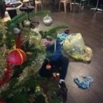 mde